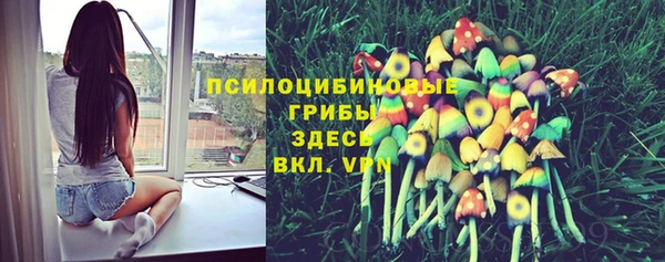 спайс Арсеньев