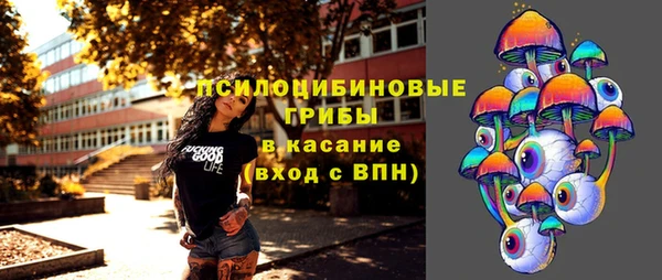 МДПВ Армянск