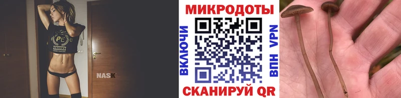 Псилоцибиновые грибы MAGIC MUSHROOMS  что такое наркотик  Арсеньев 